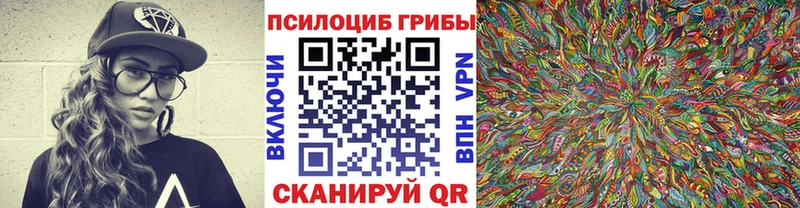 Псилоцибиновые грибы мухоморы  Плавск 